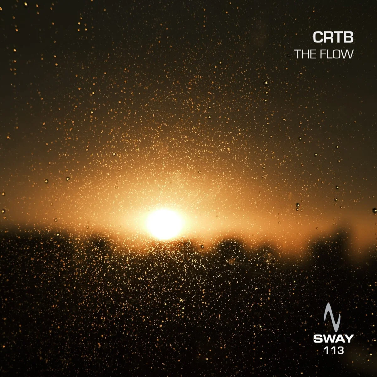 Cover Image for The Flow Original Mix