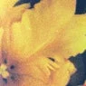 Cover Image for I Hear You Original Mix