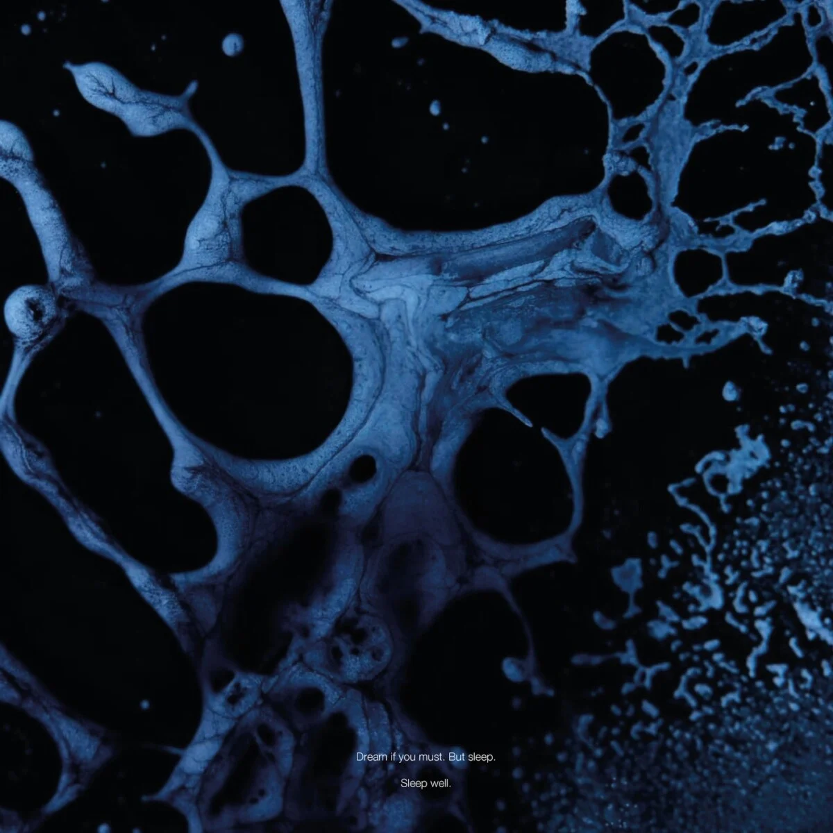 Cover Image for In Pursuit of Silence Original