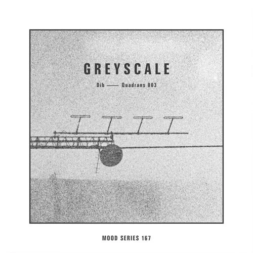 Cover Image: DIB - Quadrans 003 on Greyscale