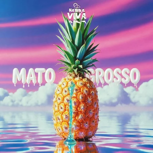 Cover Image: VA - Mato Grosso on Natura Viva